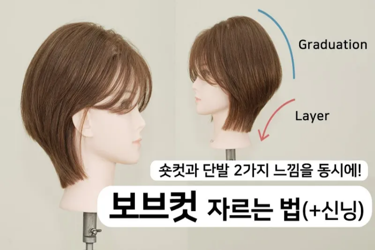 ����ĿƮ����